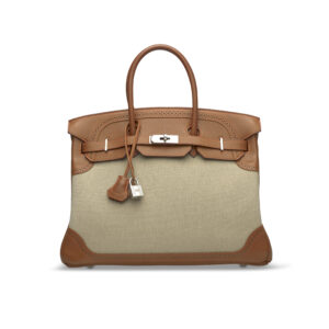 A LIMITED EDITION FAUVE BARÉNIA LEATHER & TOILE GHILLIES BIRKIN 35 WITH BRUSH PALLADIUM HARDWARE