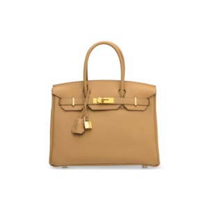 A LIMITED EDITION BISCUIT TOGO & SWIFT LEATHER 3 IN 1 BIRKIN 30 WITH GOLD HARDWARE