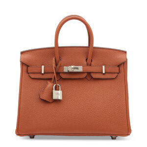 A LIMITED EDITION CUIVRE & FEU TOGO LEATHER VERSO BIRKIN 25 WITH PALLADIUM HARDWARE (6)