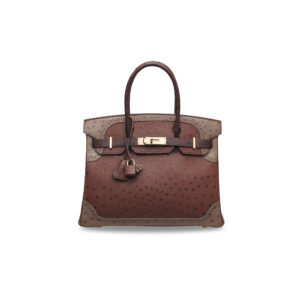 A LIMITED EDITION ÉTRUSQUE, MOUSSE & MARRON FONCÉ OSTRICH GHILLIES BIRKIN 30 WITH PERMABRASS HARDWARE (4)
