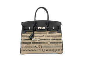 A LIMITED EDITION FICELLE TOILE DE CAMP DÉCHAÎNÉE & BLACK SWIFT LEATHER BIRKIN 35 WITH PALLADIUM HARDWARE