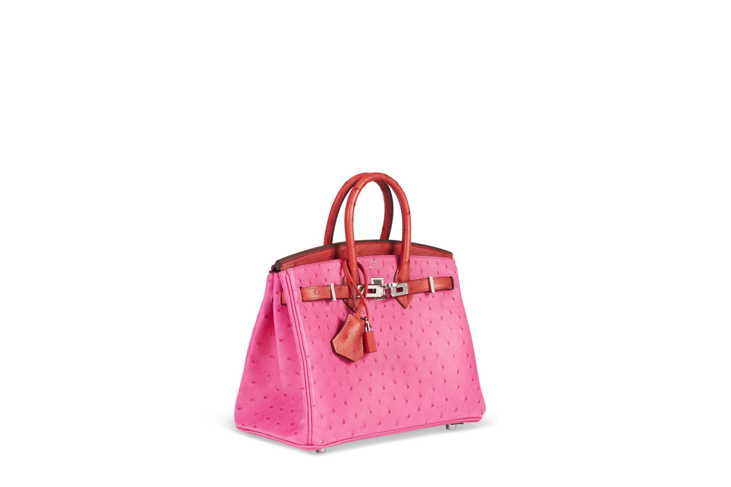 A LIMITED EDITION ROSE TYRIEN & ROUGE VIF OSTRICH TOUCH BIRKIN 25 WITH PALLADIUM HARDWARE 3 A LIMITED EDITION ROSE TYRIEN & ROUGE VIF OSTRICH TOUCH BIRKIN 25 WITH PALLADIUM HARDWARE - Image 3
