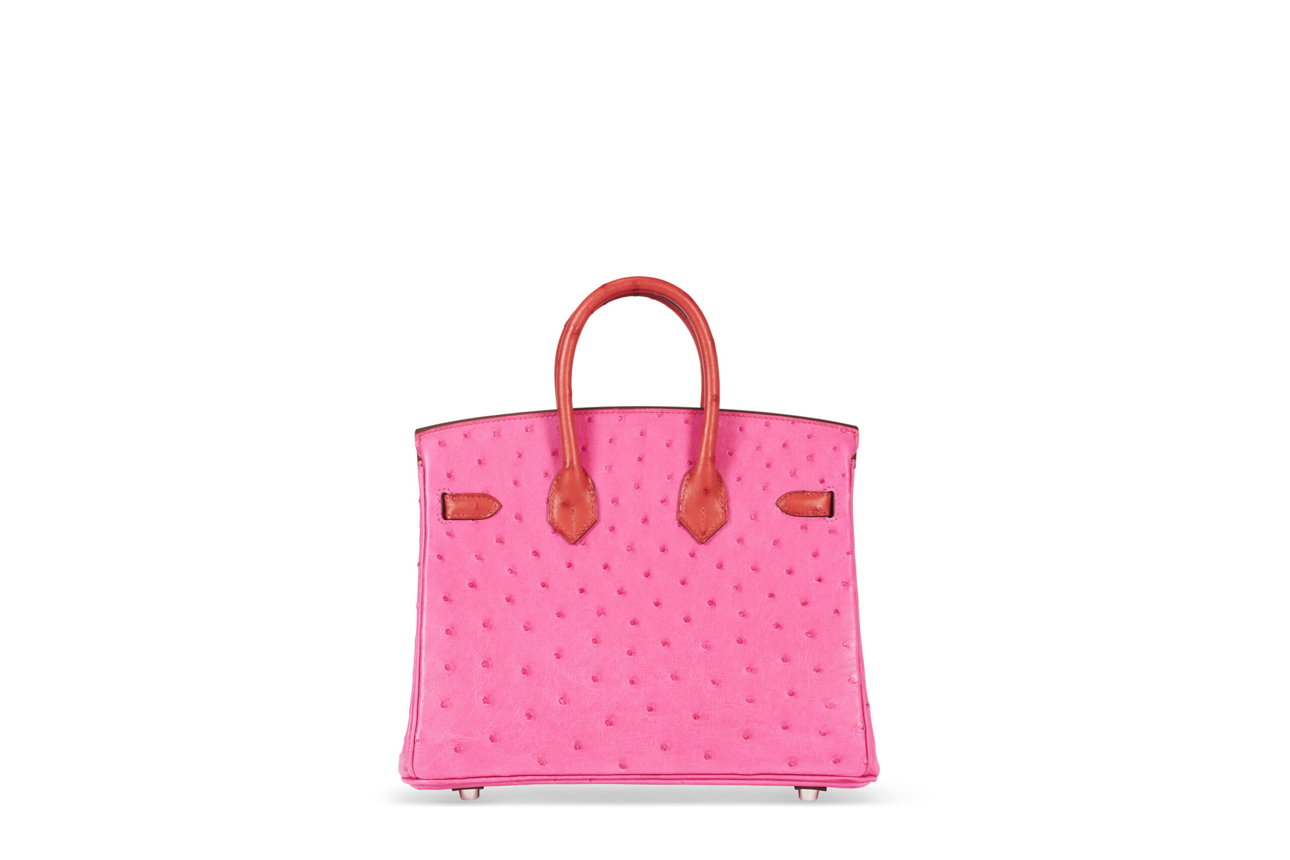 A LIMITED EDITION ROSE TYRIEN & ROUGE VIF OSTRICH TOUCH BIRKIN 25 WITH PALLADIUM HARDWARE 5 A LIMITED EDITION ROSE TYRIEN & ROUGE VIF OSTRICH TOUCH BIRKIN 25 WITH PALLADIUM HARDWARE - Image 5