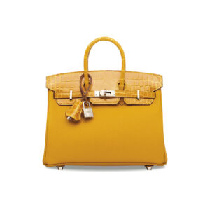 A LIMITED EDITION SHINY AMBRE NILOTICUS CROCODILE & TOGO LEATHER TOUCH BIRKIN 25 WITH PALLADIUM HARDWARE (1)