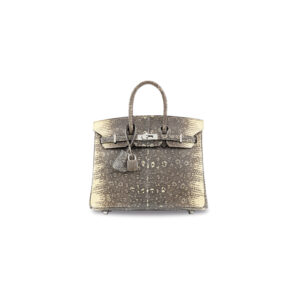 A LIMITED EDITION SHINY OMBRÉ SALVATOR LIZARD BIRKIN 25 WITH PALLADIUM HARDWARE (1)