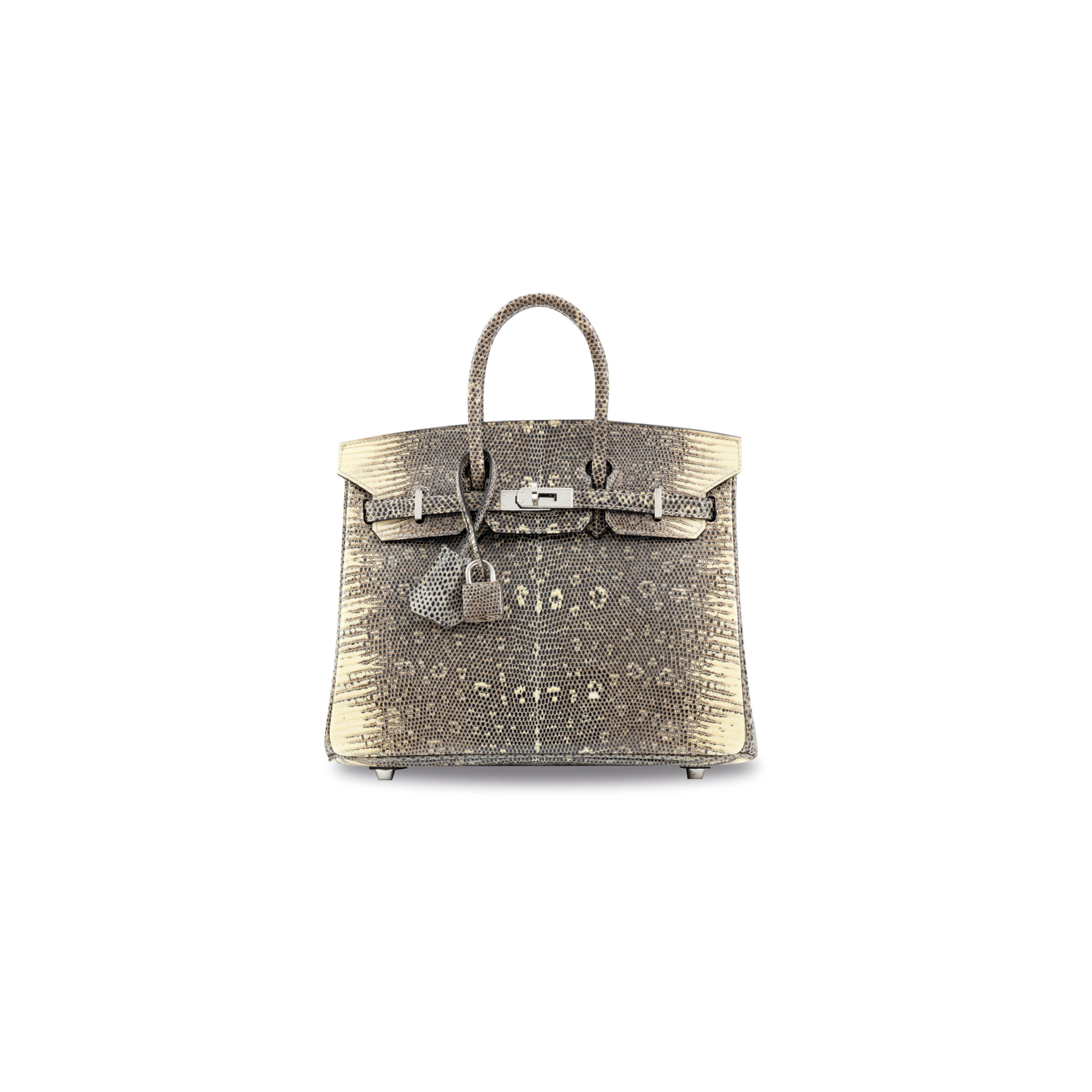 A LIMITED EDITION SHINY OMBRÉ SALVATOR LIZARD BIRKIN 25 WITH PALLADIUM HARDWARE 1 A LIMITED EDITION SHINY OMBRÉ SALVATOR LIZARD BIRKIN 25 WITH PALLADIUM HARDWARE (1)