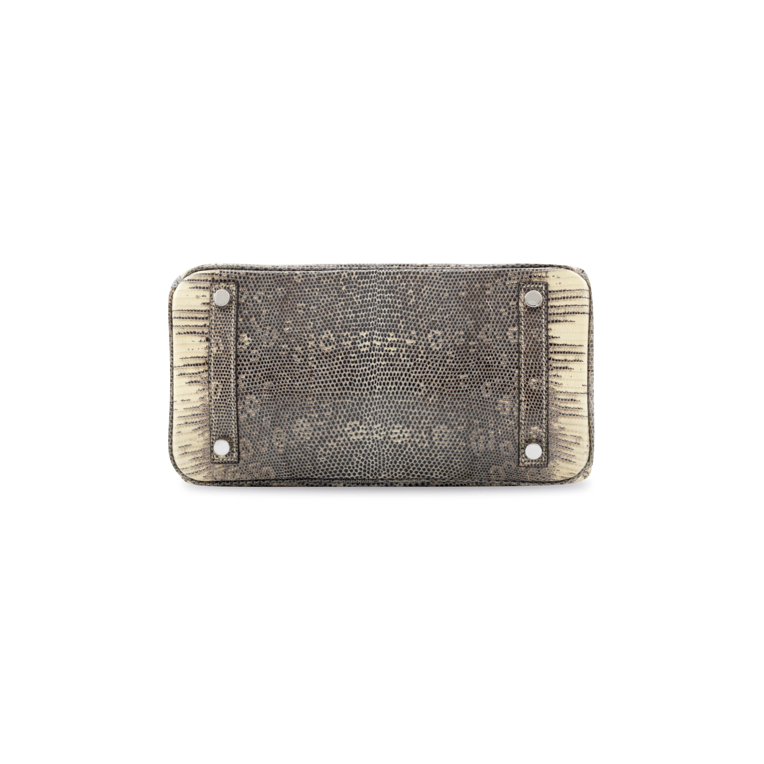 A LIMITED EDITION SHINY OMBRÉ SALVATOR LIZARD BIRKIN 25 WITH PALLADIUM HARDWARE 5 A LIMITED EDITION SHINY OMBRÉ SALVATOR LIZARD BIRKIN 25 WITH PALLADIUM HARDWARE - Image 5