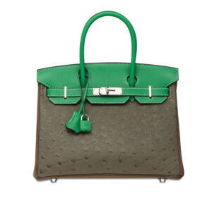 A LIMITED EDITION VERT VÉRONÈSE OSTRICH, BAMBOU & TAUPE SWIFT AND CLÉMENCE LEATHER TRI-COLOR, TRI-MATERIAL BIRKIN 30 WITH PALLADIUM HARDWARE