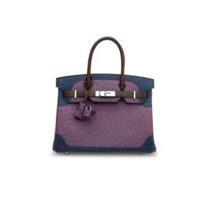 A LIMITED EDITION VIOLET, BLEU DE MALTE & CHOCOLAT OSTRICH GHILLIES BIRKIN 30 WITH PALLADIUM HARDWARE