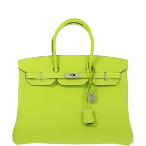 Hermès Birkin 25 Candy Collection Kiwi and Vert Cypress Epsom Palladium Hardware (1)
