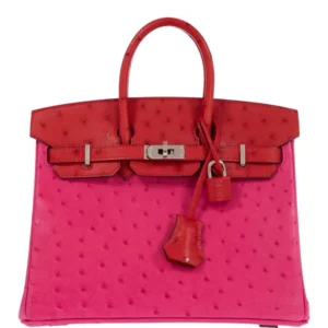 Hermès Birkin 25 Verso Rose TyrienRouge Vif Ostrich Palladium Hardware