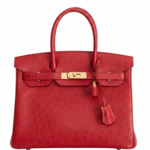 Hermès Birkin 30 Rouge Vif Ostrich Gold Hardware