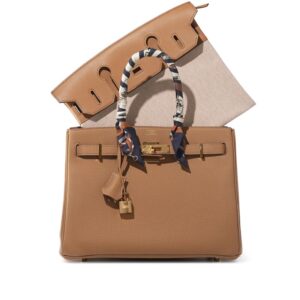 Limited Edition Biscuit Togo, Swift and Toile 3 in 1 Birkin 30 Gold Hardware (2)